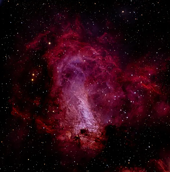 The Omega Nebula